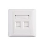 2-Port Cat5e RJ45 Faceplate Wall Socket
